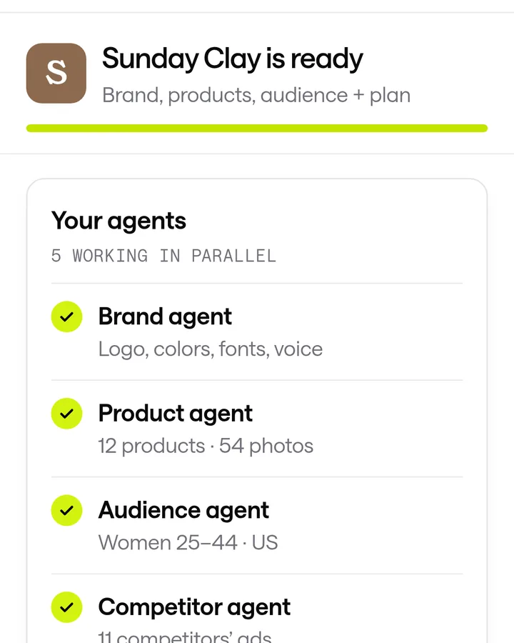 ScaleShot's agents reading a store's brand, products and audience