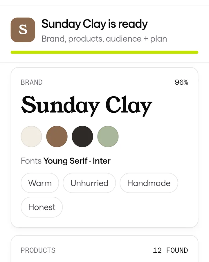 The brand profile ScaleShot builds from a store link