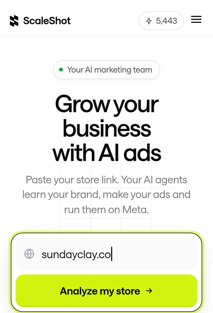 Pasting a store link into ScaleShot to start
