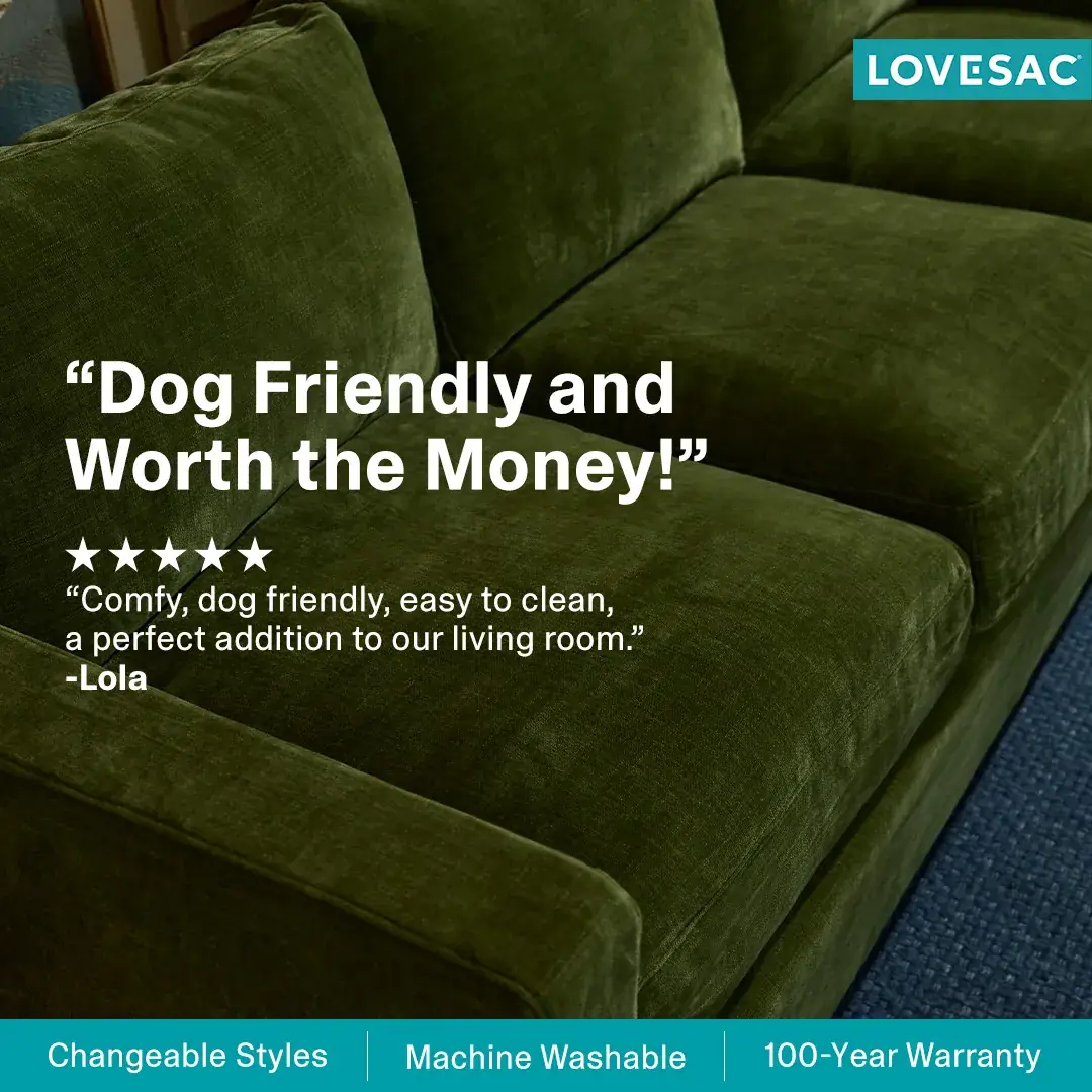 Lovesac image ad