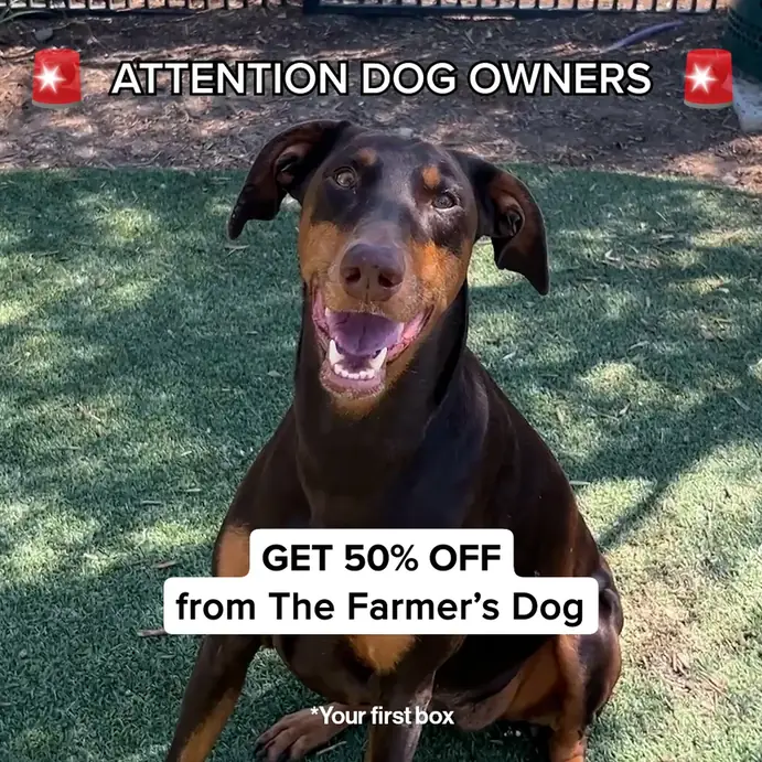 Ultimate Dog Parent Guide carousel ad