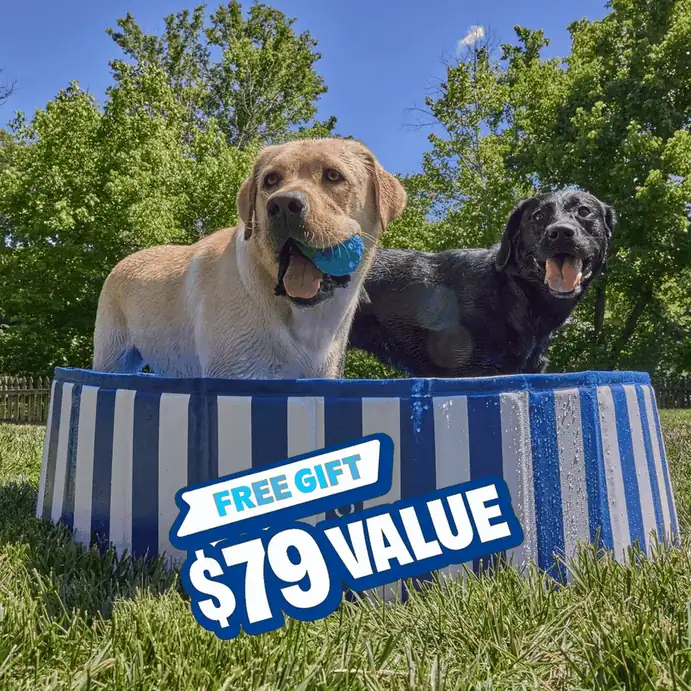 BarkBox carousel ad, card 2