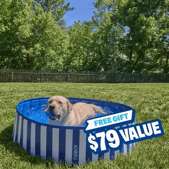 BarkBox carousel ad, card 3