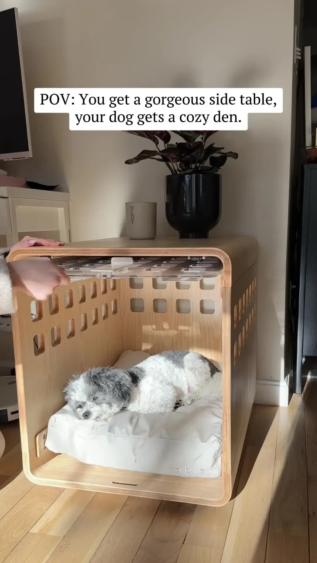 Fable Pets video ad
