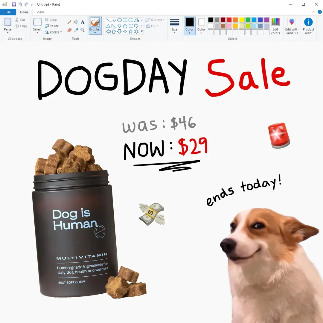 Dog is Human image ad
